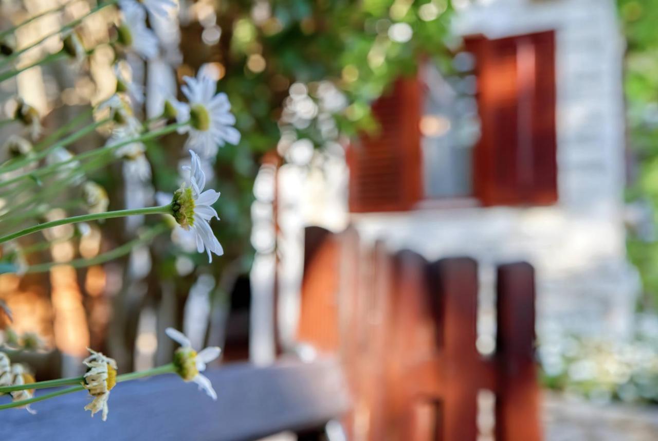 Holiday Home Giardino Marino Pomer Exterior photo